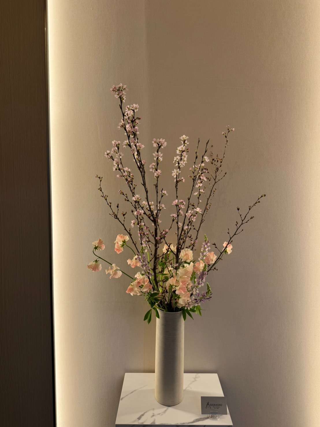 🌸4月キャンペーンご案内🍃