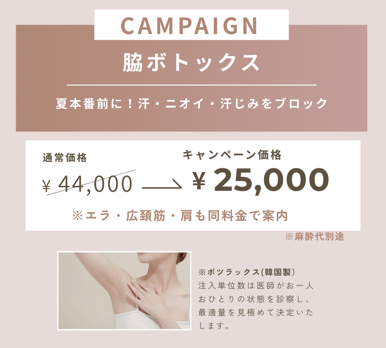 キャンペーン